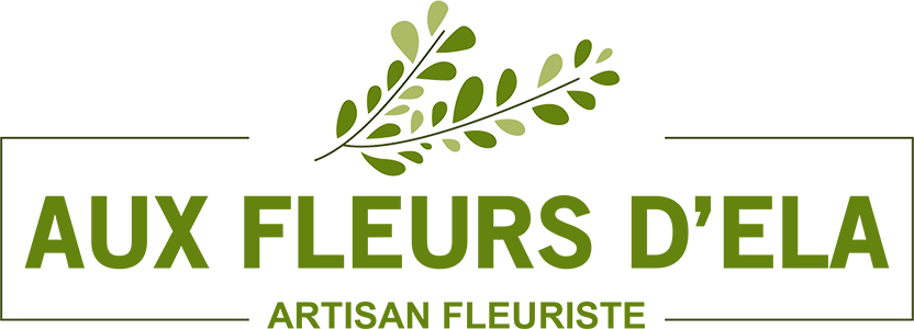  AUX FLEURS D'ELA 